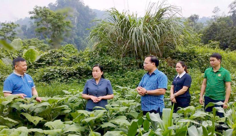 Ảnh tin