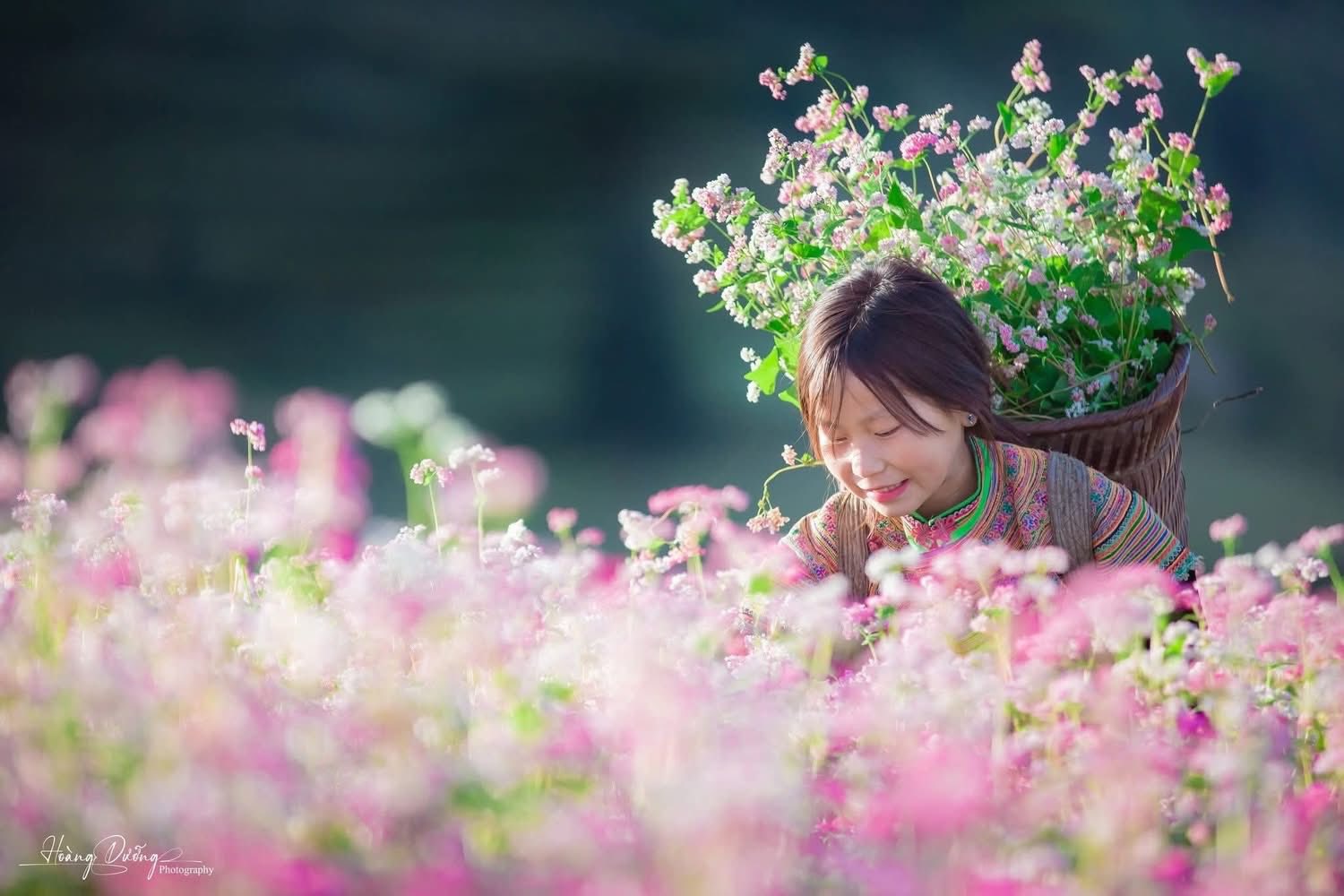 Mỗi độ thu sang, khi những cơn gió se lạnh bắt đầu ùa về, cao nguyên đá Tuyên Quang lại chuyển mình trong sắc hoa tam giác mạch mỏng manh mà đầy sức sống. Loài hoa nhỏ bé mọc lên từ những khe đá khô cằn ấy đã trở thành biểu tượng của vùng đất địa đầu Tổ quốc – tượng trưng cho sự kiên cường, bền bỉ của con người nơi đây.