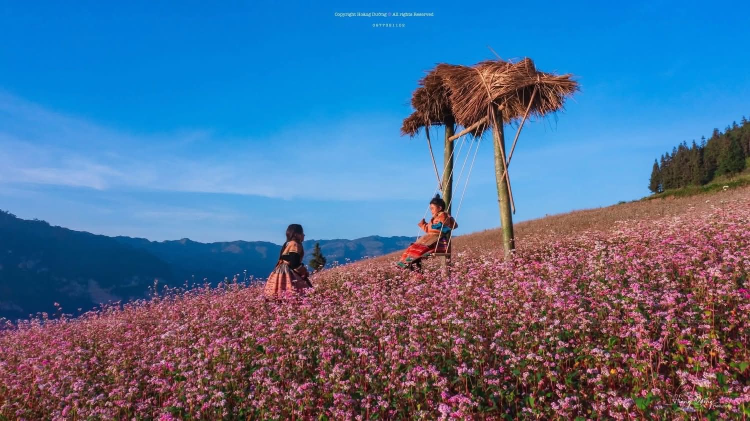 Mỗi độ thu sang, khi những cơn gió se lạnh bắt đầu ùa về, cao nguyên đá Tuyên Quang lại chuyển mình trong sắc hoa tam giác mạch mỏng manh mà đầy sức sống. Loài hoa nhỏ bé mọc lên từ những khe đá khô cằn ấy đã trở thành biểu tượng của vùng đất địa đầu Tổ quốc – tượng trưng cho sự kiên cường, bền bỉ của con người nơi đây.