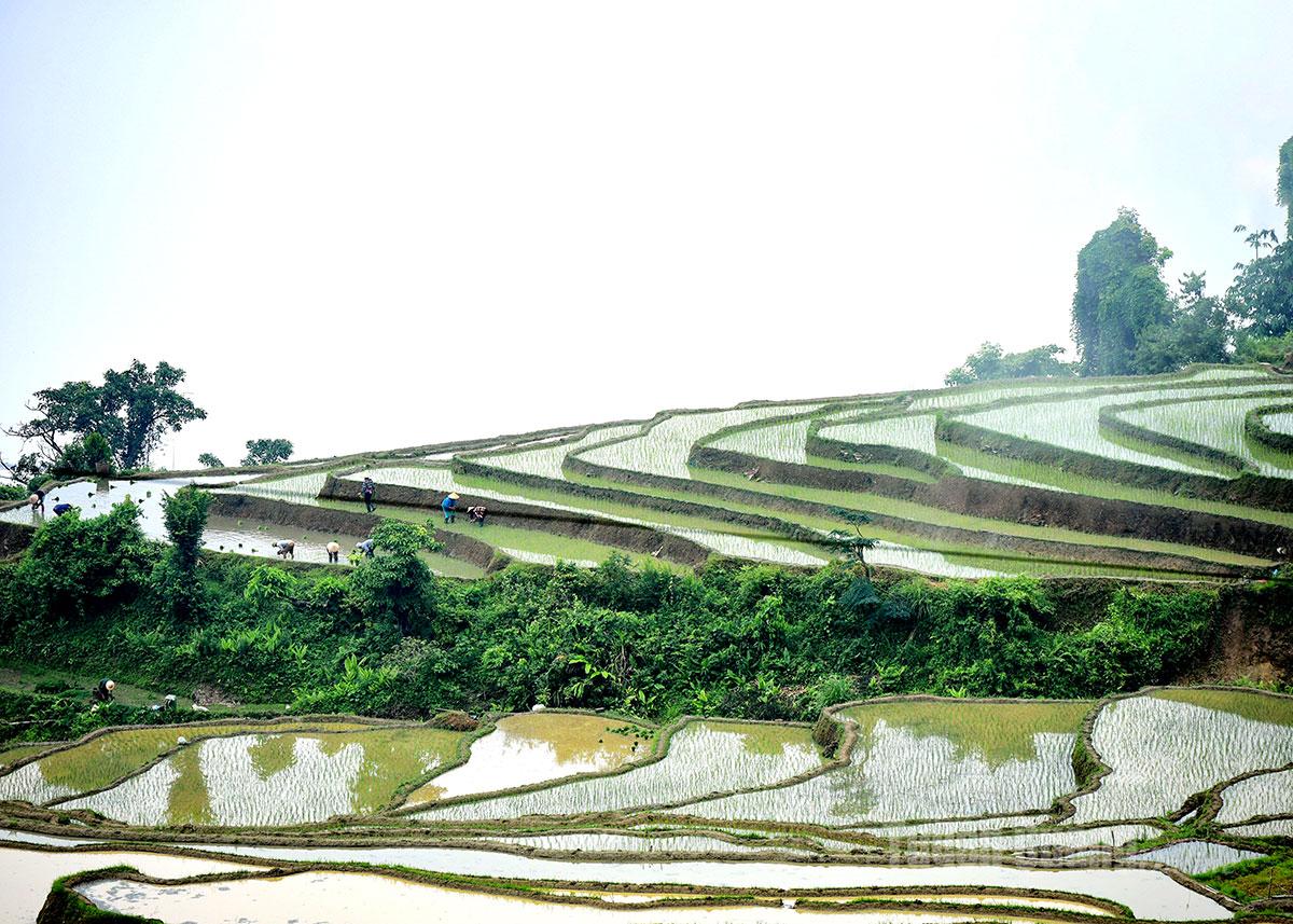 Xã Hồng Thái có độ cao trên 1.000m so với mặt nước biển, 4 mùa quanh năm mây phủ. Khi trời đất giao hòa, những biển mây như những cục bông khổng lồ bồng bềnh, vương vất quanh triền núi.