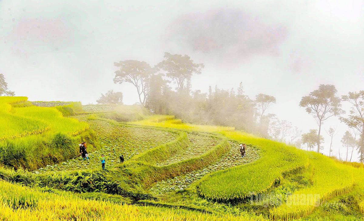 Xã Hồng Thái có độ cao trên 1.000m so với mặt nước biển, 4 mùa quanh năm mây phủ. Khi trời đất giao hòa, những biển mây như những cục bông khổng lồ bồng bềnh, vương vất quanh triền núi.